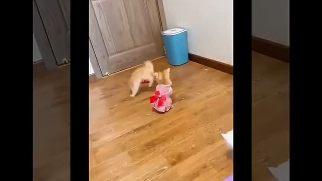 Smart Sensing Snake Automatic Electric Cat Toys