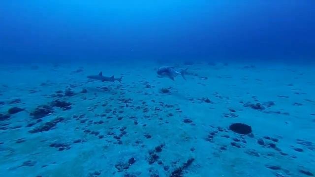 2 22 14 Split Rock Dive