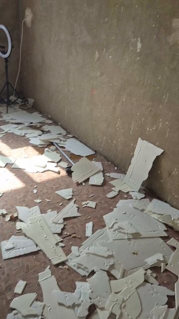 тгк: Wolferk #wolferk