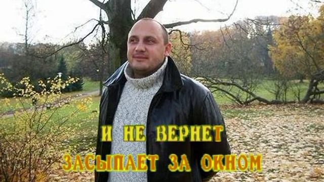 Засыпает лес