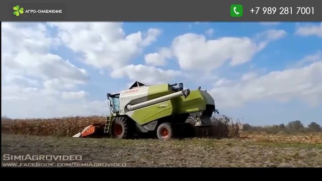 жатка для уборки кукурузы CornMaster 8
