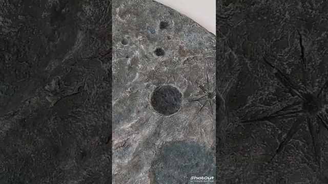 Луна в интерьере. Барельеф декор.