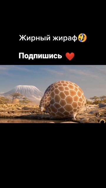 Шок это самый толстый жираф #shorts