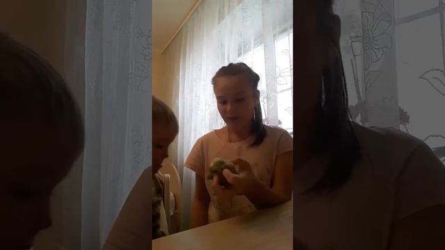 Все наши ниндзя слаймы