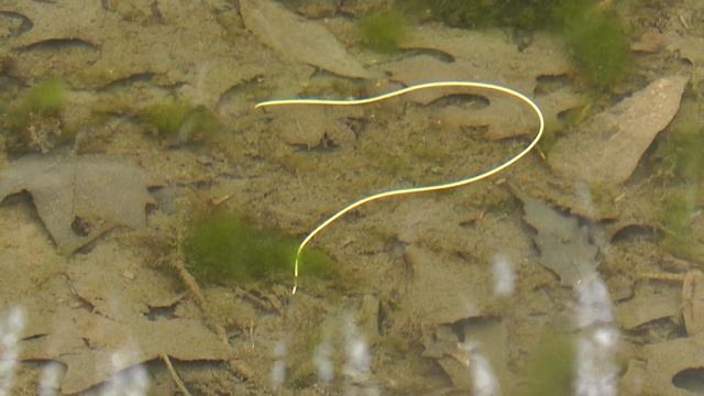 62a9e510c0c71d4b227d7aec0b7878e2