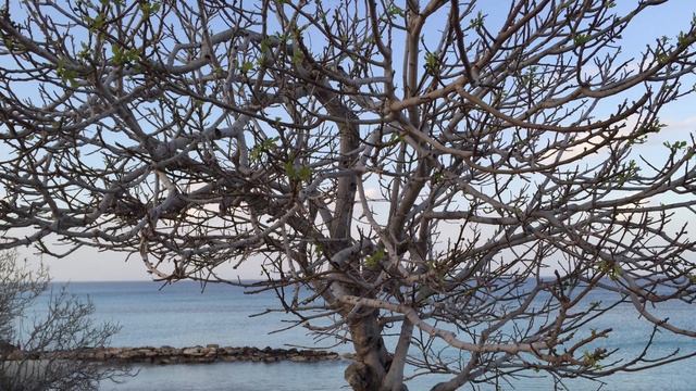 Kaiti Garbi & Toto Cutugno / HD / Mediterranean