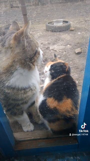 E1da1b6355abfe21ce932710c9da4630