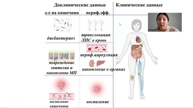 Жумабаева НИР