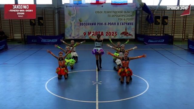 мини шаркс Лен обл 2025