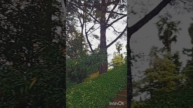 Кавказский заповедник.mp4