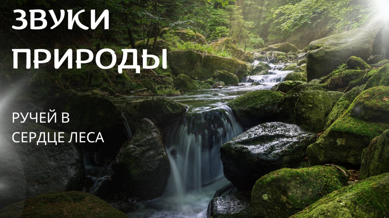Звуки природы: Ручей в сердце леса