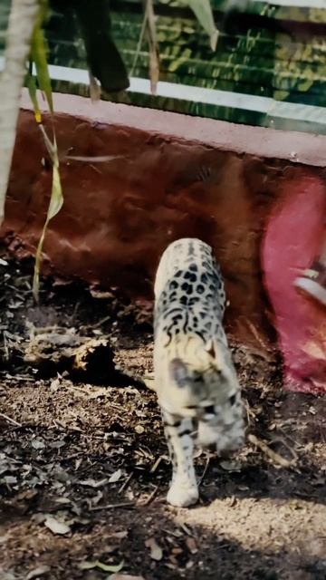 Día 4 - Cataratas De Iguazu