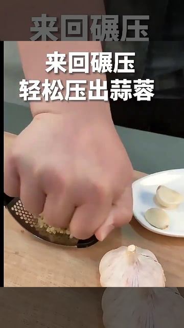 Alat Penghancur Bawang Stainless Steel Garlic Press Crusher