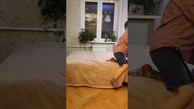 Волшебство и кот! Магическая Телепортация котика Картошки-Фри!