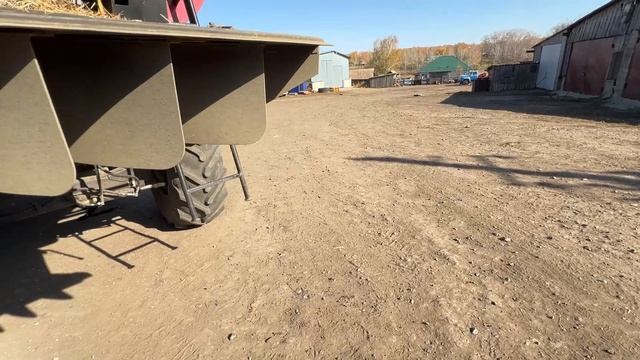 молотим гречиху