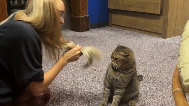 382ab40bfb654cb24e6c612f01b08d5f