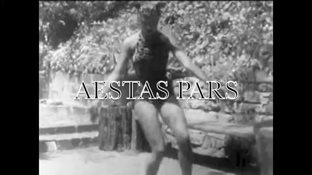 Suivalc - Aestas Pars Album Promo