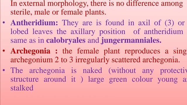 Order: Takakiales Genus : Takakia