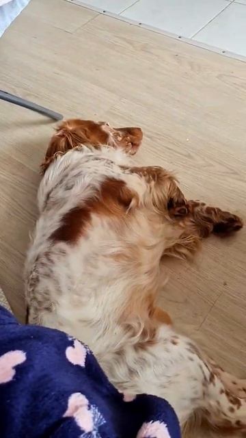 E9c7c10688871b0185f54aff6631c0ad