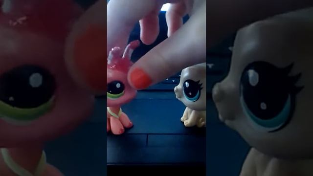 039859e9a1ed7797d00c2c6f67f8a0aa