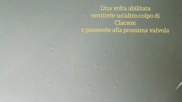 Abilitare Valvole Tpms Opel Mokka