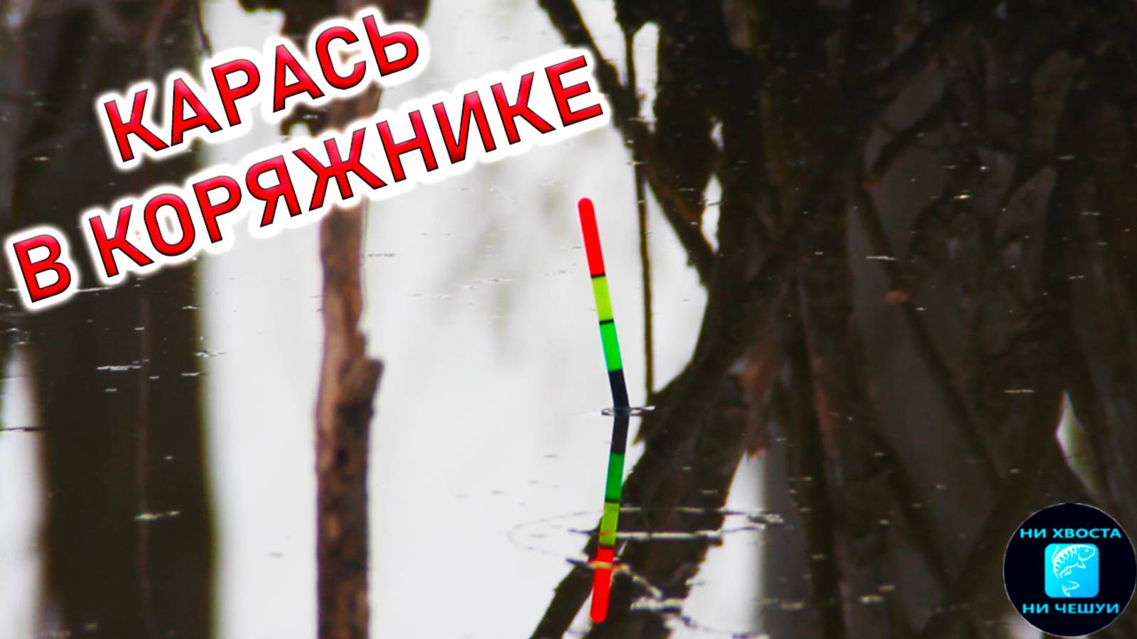 2dfb2f9b80d8a33bcc2dfac80de7bfed