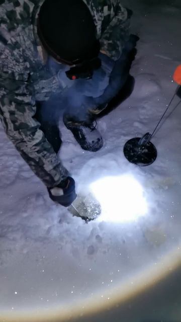 когда одна, и такая в радость😁🤘