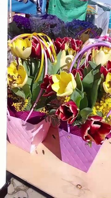 Март Кубань