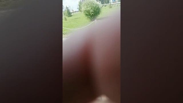 Вологодская область стризнево дино парк
