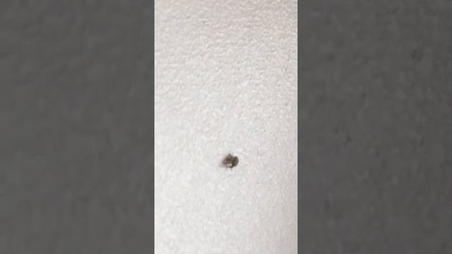 ВЛОГ:МОЙ ДЕНЬ НА КАРАНТИНЕ 😜~Amina Life