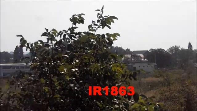 EXCURSIE FEROVIARA PRIN TARA CU TRENURI REGIO -BARBOSI-MARASESTI.PARTEA 1..