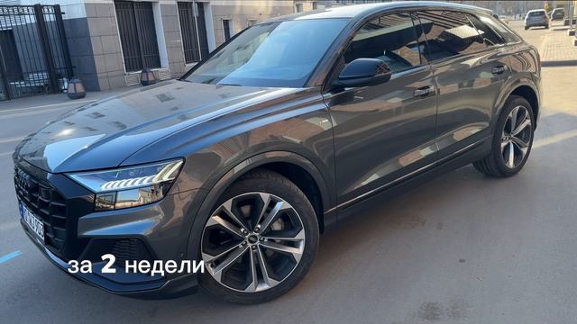 Роман Трофимов