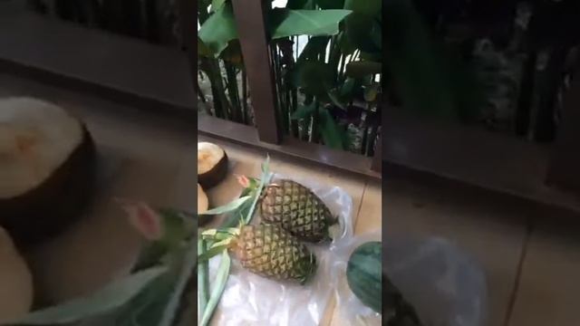 IvanSoldatovLX    Обзор покупоктайланд кокос ананас Coconut Thai Lxlife