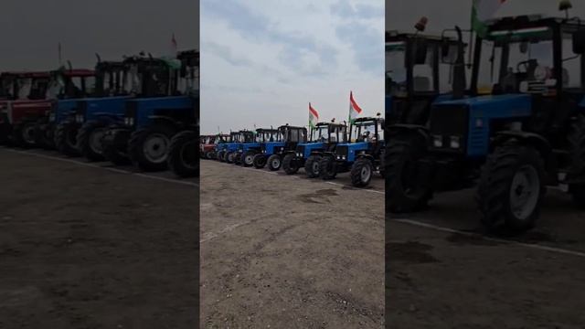 Чикиз укитувчиларни Тракторчилар келди. #юмор