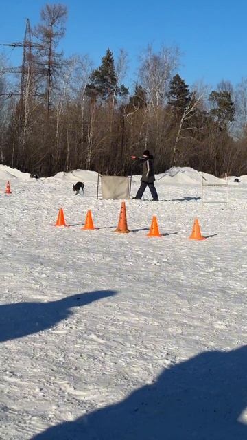 6183e375b919c34b6eab068775c36149