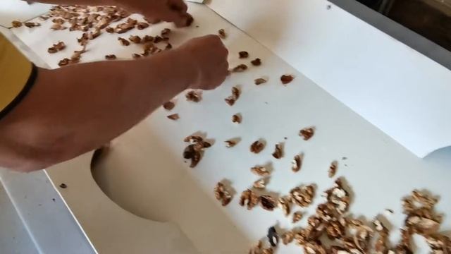 Линия для переработки орехов