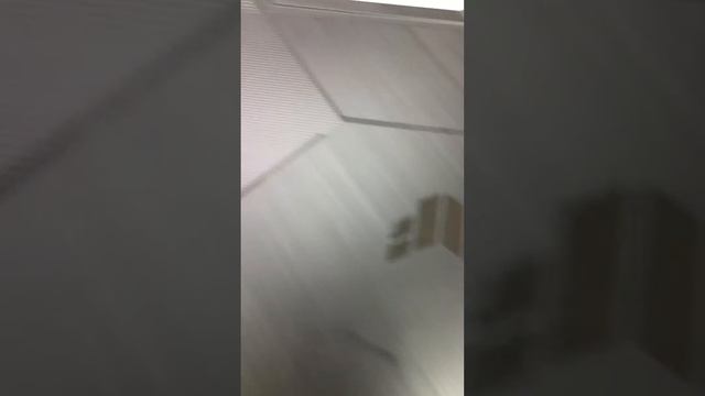 14 октября 2023 г.