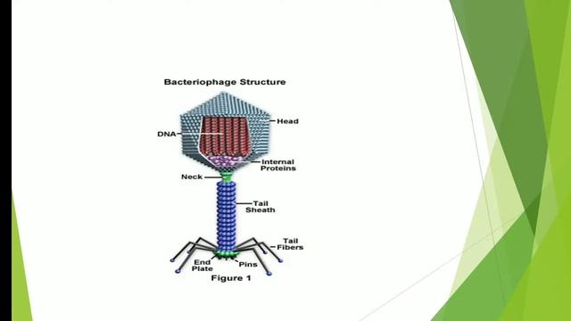 F6d50c3e3e98b530a5a0fb24c28151b5