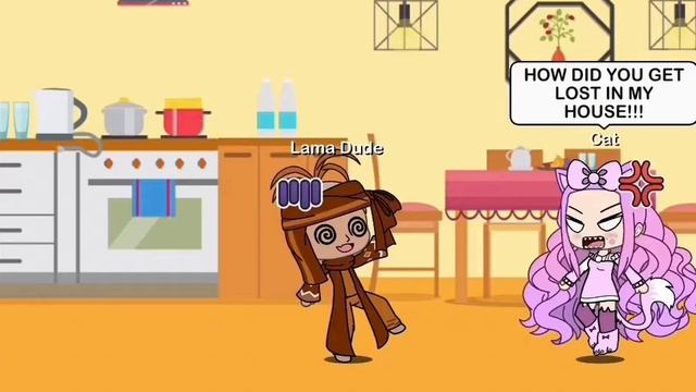 Cat And Lama Dude 3