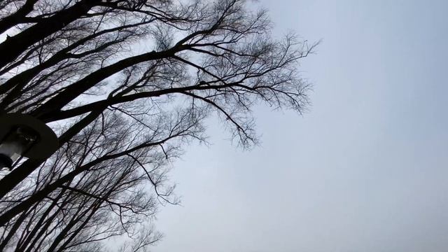 Обзор покупок/Метро в Берлине/ Магазин/Прогулка в парке/ Открываю посылки/Ужин/Новый костюмчик/