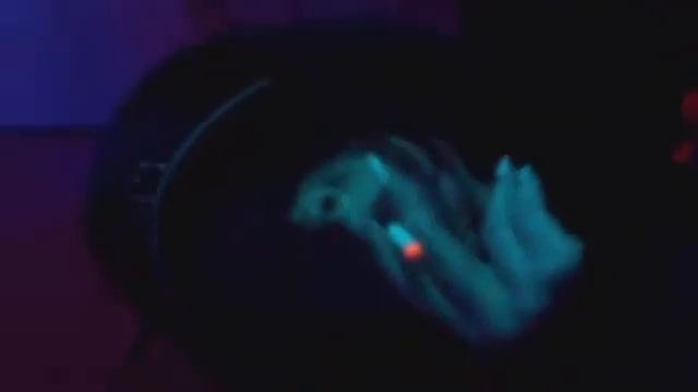 TXPA - говори (snippet)