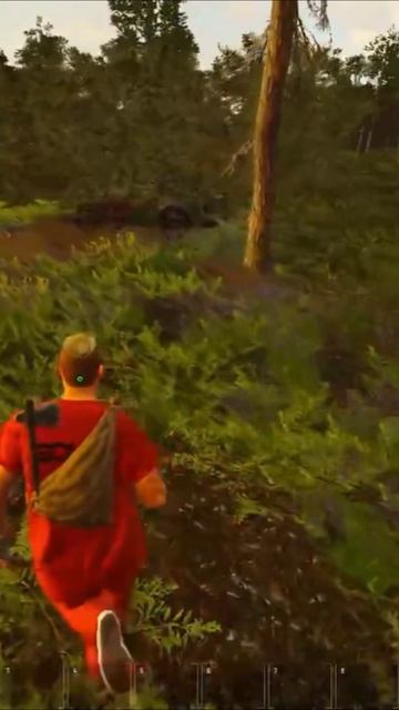 не дня без шалости))) #shorts #scum #scumpvp #pvp