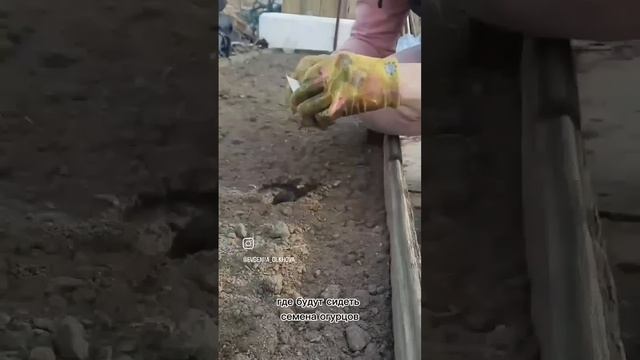 306d9e0023b938df8c645142f03ac8f0