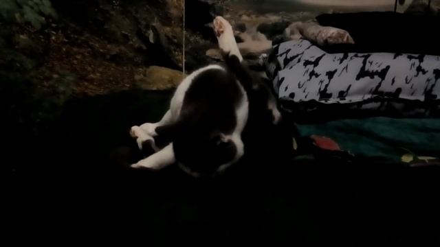 E9f2d26d8aa6e59625882daf714ea55a