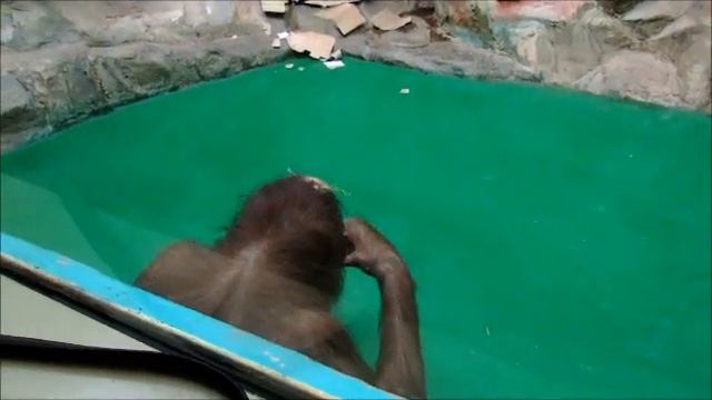 6f47ef94823ae54e6c81998ea06e8b24