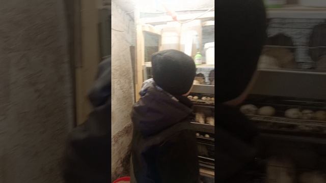 Сад и огород на Селигере.