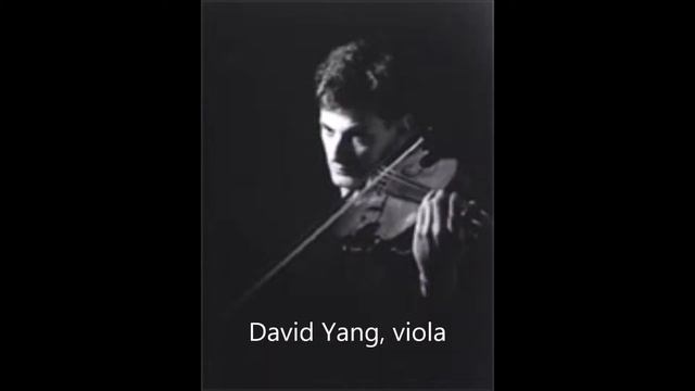 Brahms C Minor Piano Quartet Excerpt Movement 1