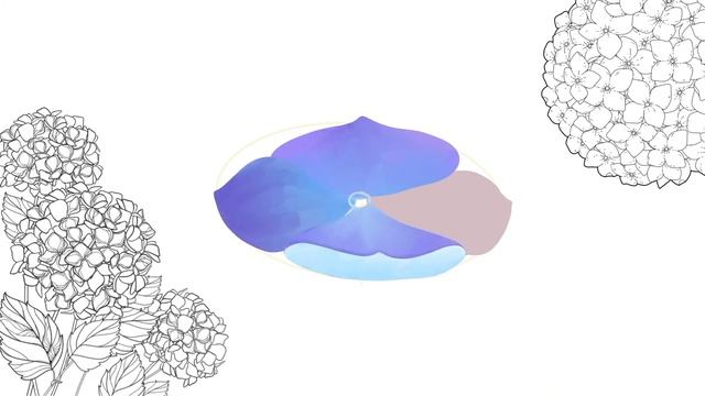 How To Draw Simple Hydrangea Using Procreate