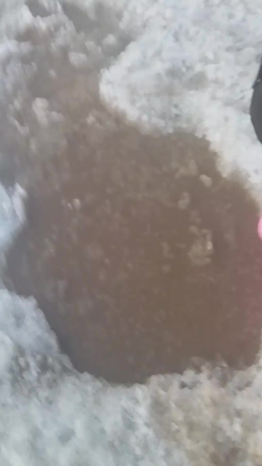 C7a8556bfbbf1fdc7eeb2c328adc920a