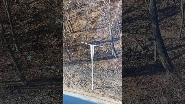 День рождения - гуси-лебеди